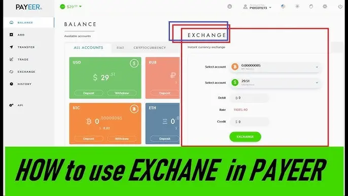 Cómo convertir Payeer a Bitcoin: Guía completa para principiantes - Podemos retirar dinero de Payeer comision de payeer a bitcoin - Podemos retirar dinero de Payeer