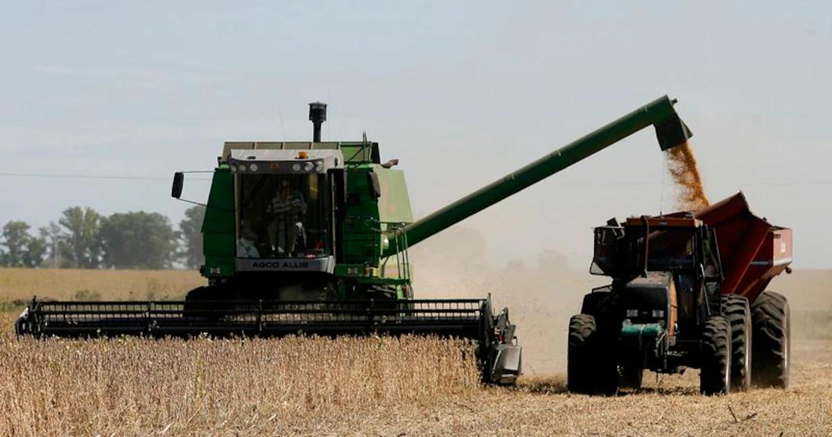 Finanzas Soja: Análisis del Precio y Perspectivas de la Soja en Argentina - Por qué cae el precio de la soja finanzas soja - Por qué cae el precio de la soja