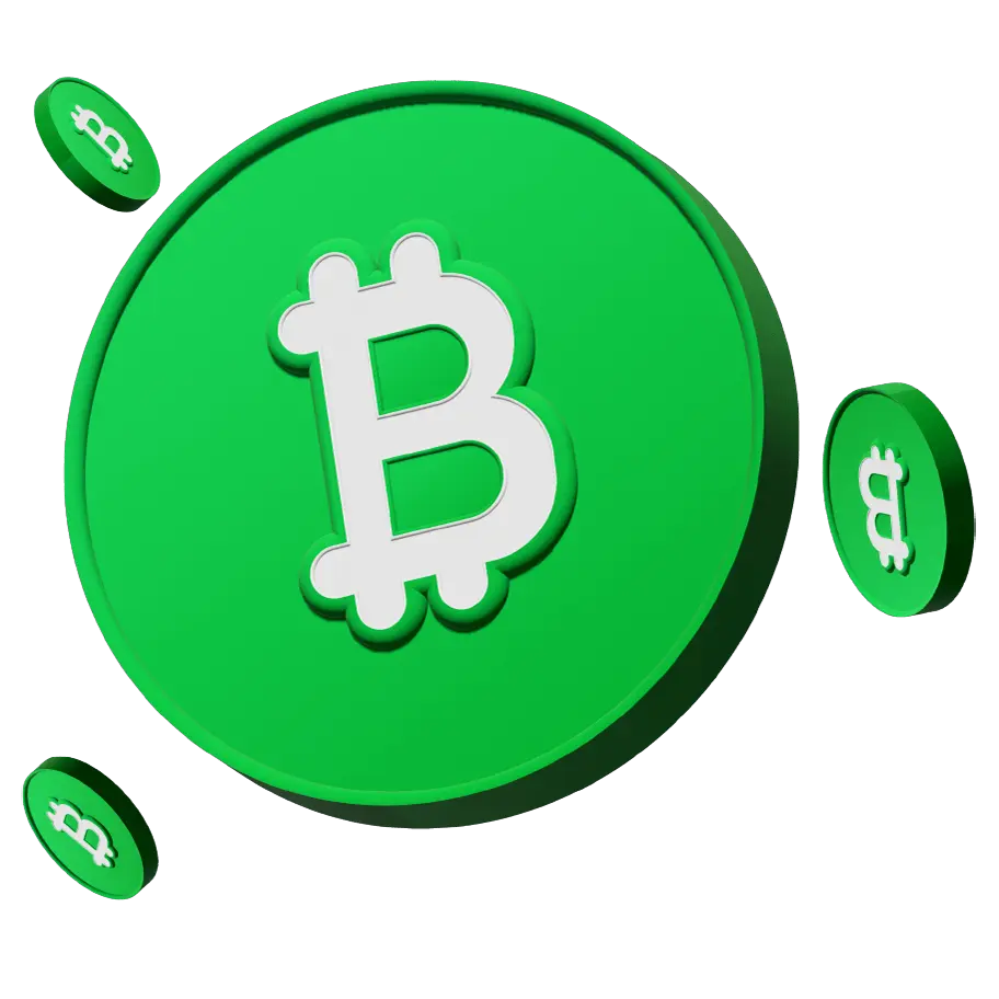 Bitcoin Cash: Una guía completa para principiantes - Por qué comprar Bitcoin Cash bitcoin cash 24-7 como funciona - Por qué comprar Bitcoin Cash
