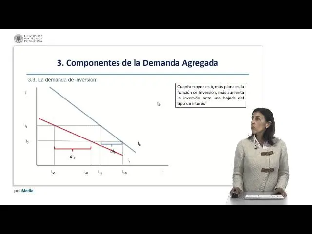 curva de demanda de inversion videos - Por qué la curva de demanda de inversión tiene pendiente negativa