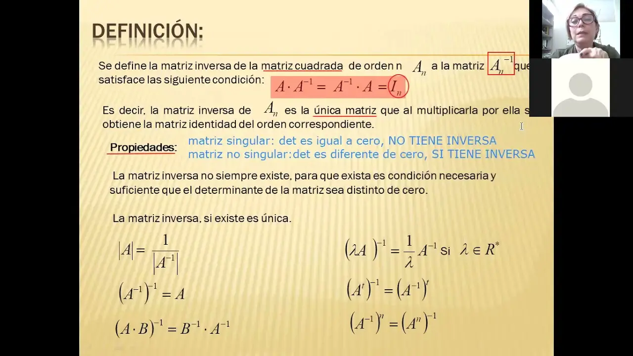 determinante distinto de cero existe inversa - Por qué no existe la inversa cuando el determinante es 0