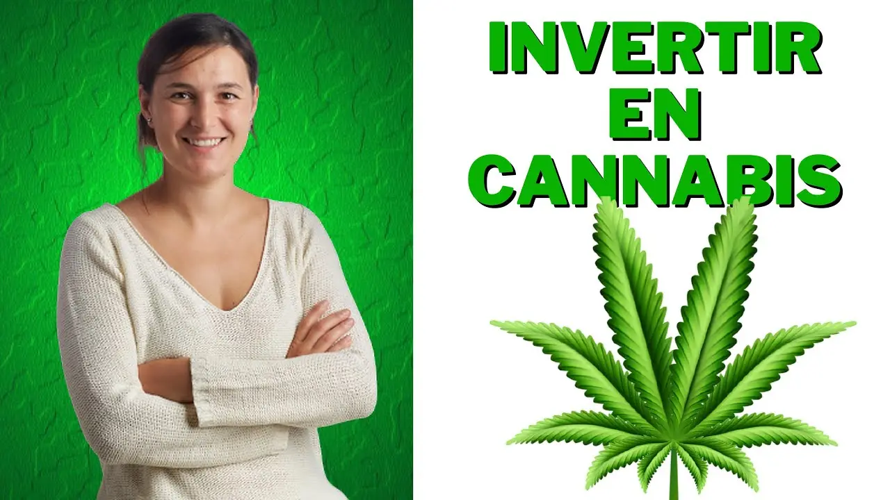 Invertir en Cáñamo: Una Oportunidad Emergente - Puedo invertir en cáñamo invertir en canamo - Puedo invertir en cáñamo