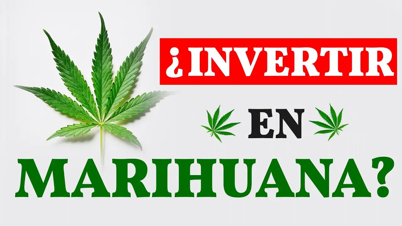 Cómo Invertir en Marihuana: Guía Completa para Principiantes - Qué acciones tiene la marihuana acciones para invertir en marihuana - Qué acciones tiene la marihuana