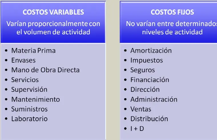 amortizacion inversion directa fijo o variable - Qué activo fijo se amortiza