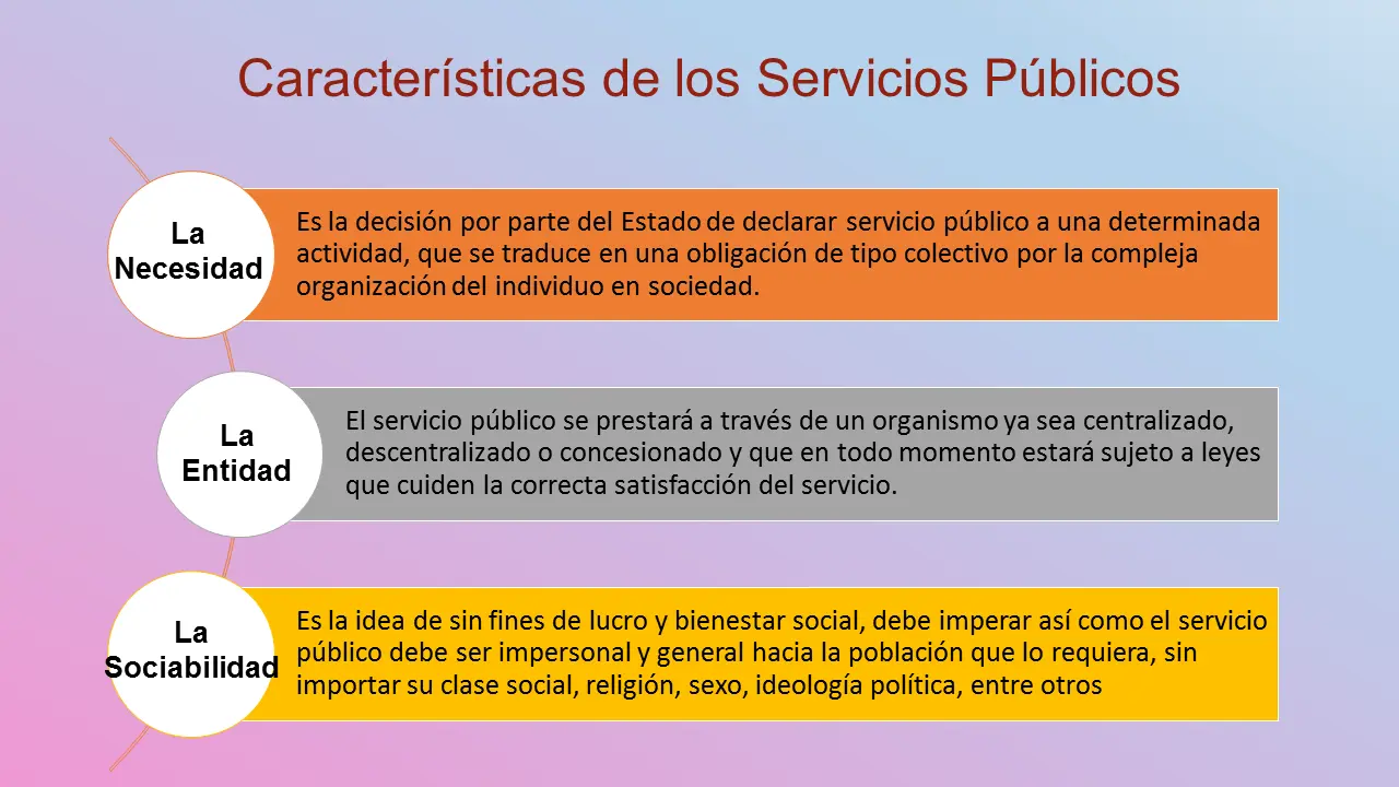 caracteristicas del servicio de salud finanzas publicas - Qué características tiene el sistema de salud