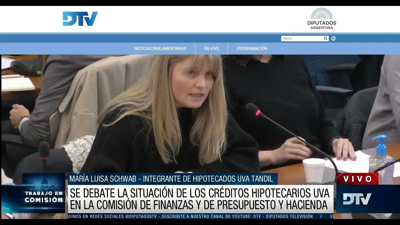 comision de finanzas argentina - Qué comisiones hay en la Cámara de Diputados