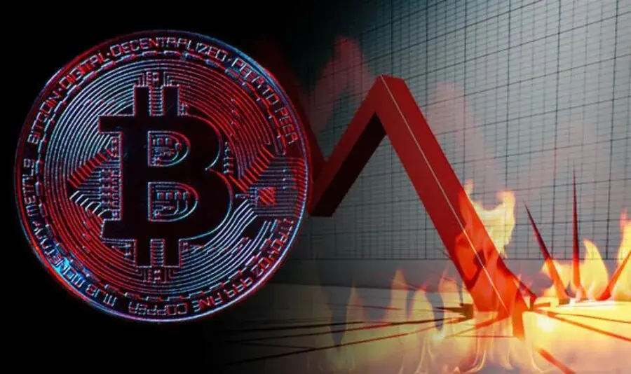 criptoanalista de criptomonedas - Qué diferencia hay entre criptografía y criptoanálisis