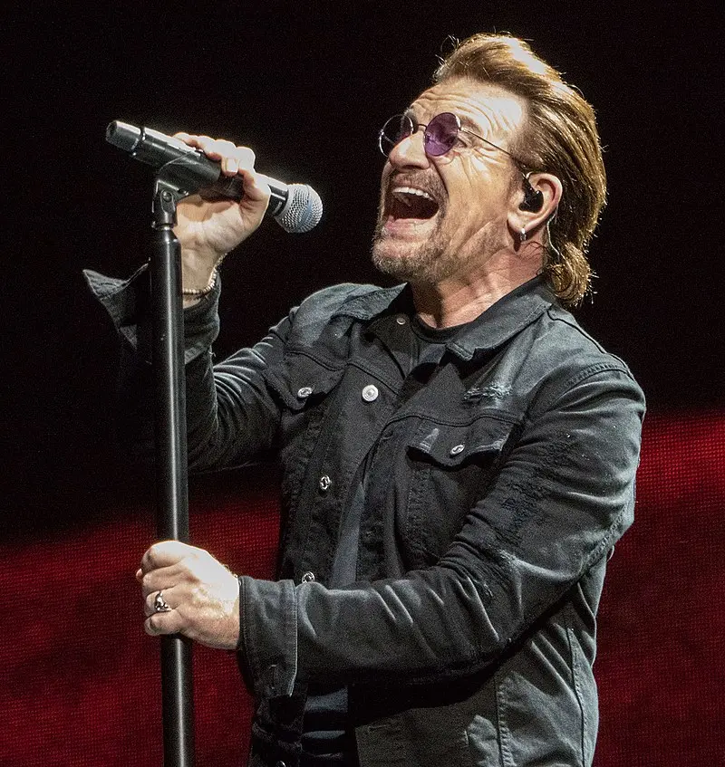 bono p - Qué es el bono P