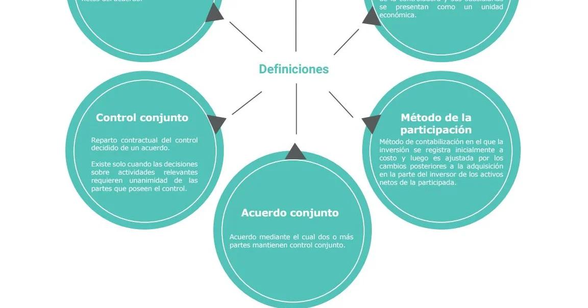 control conunto sobre otra sociedad para contabilizar y medir inversion - Qué es el control conjunto en contabilidad