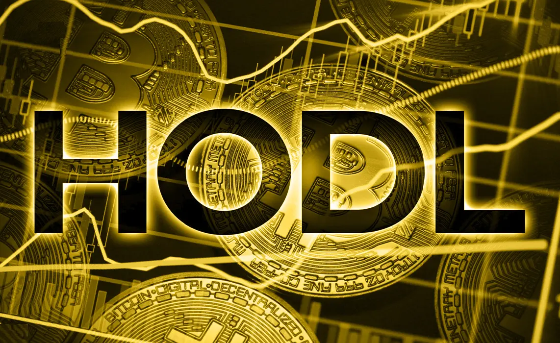 Monitor Holter: Una guía completa para entender este examen cardíaco - Qué es el holder holder criptomonedas - Qué es el holder