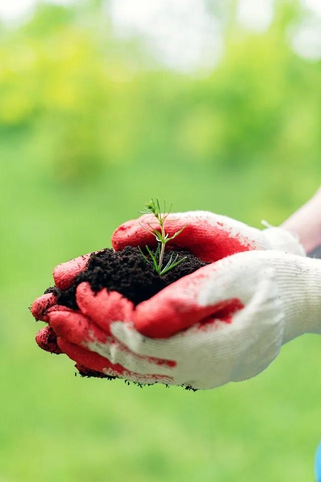 Impacto ambiental de un proyecto de inversión: Guía completa para su evaluación - Qué es el impacto ambiental de un proyecto impacto ambiental de un proyecto de inversion - Qué es el impacto ambiental de un proyecto