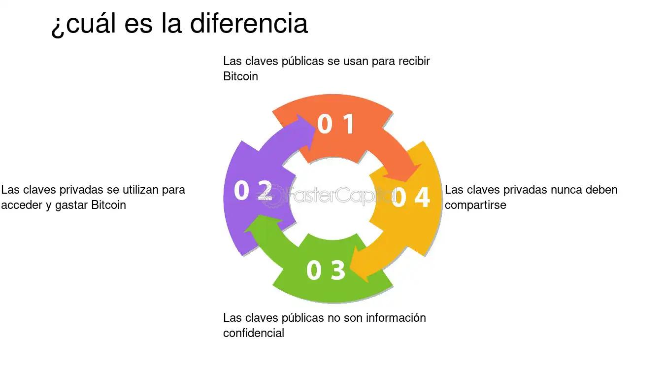 Cómo generar una clave pública de Bitcoin: Guía completa - Qué es el public key clave publica bitcoin generar - Qué es el public key
