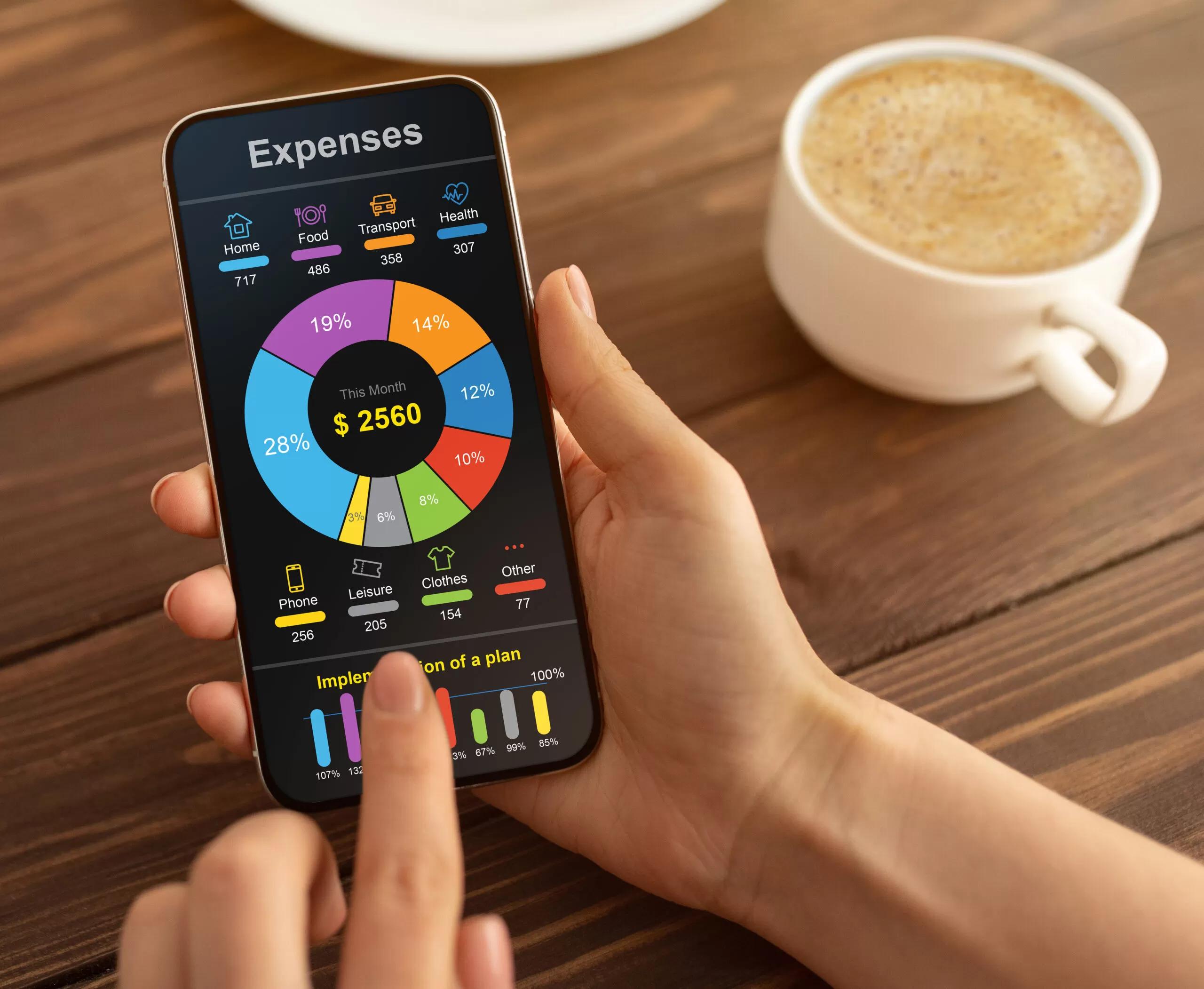 finanza familiar programa - Qué es el sistema financiero familiar
