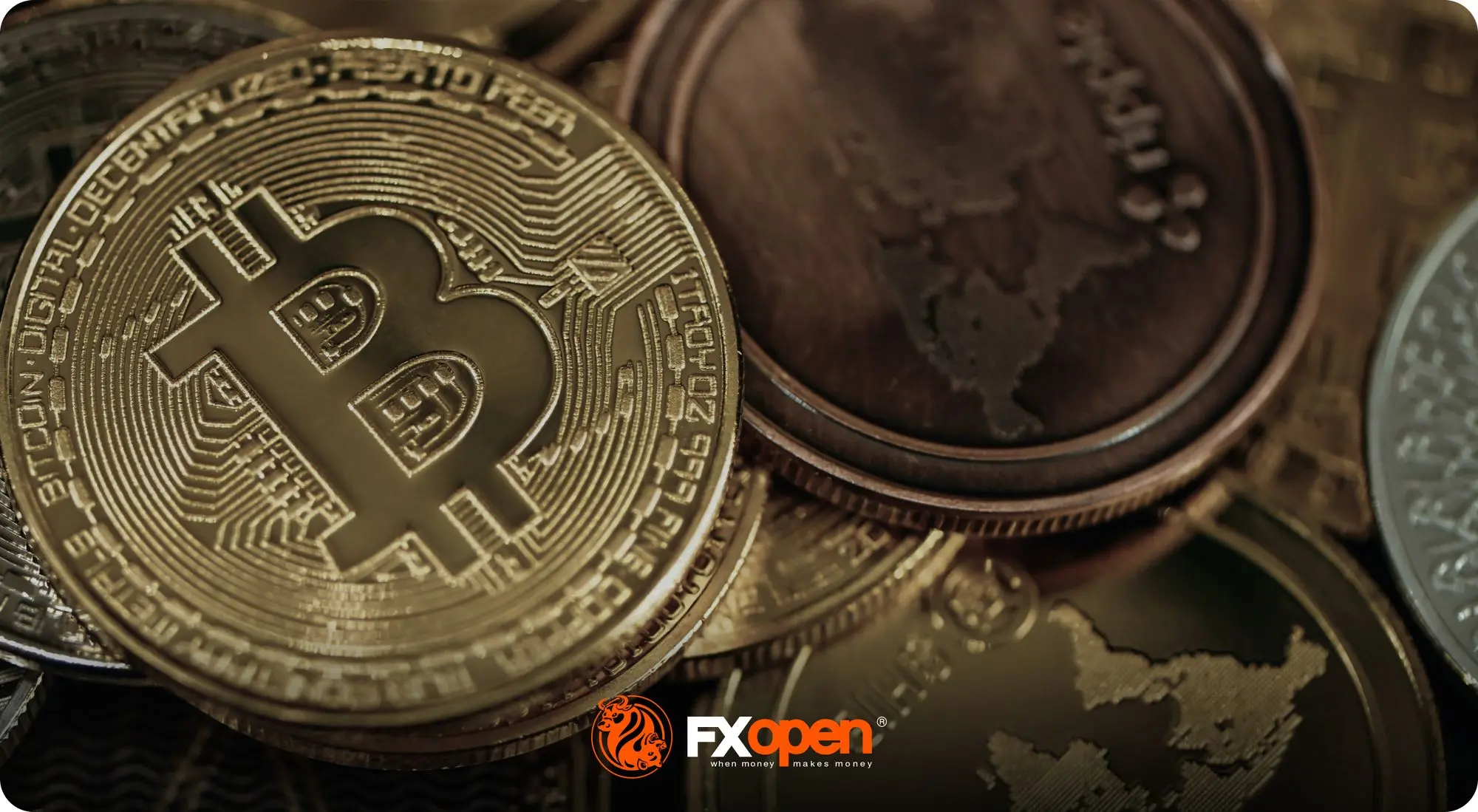 El bull run crypto: ¿Cuándo será el próximo boom? - Qué es el toro en criptomonedas bull criptomoneda - Qué es el toro en criptomonedas
