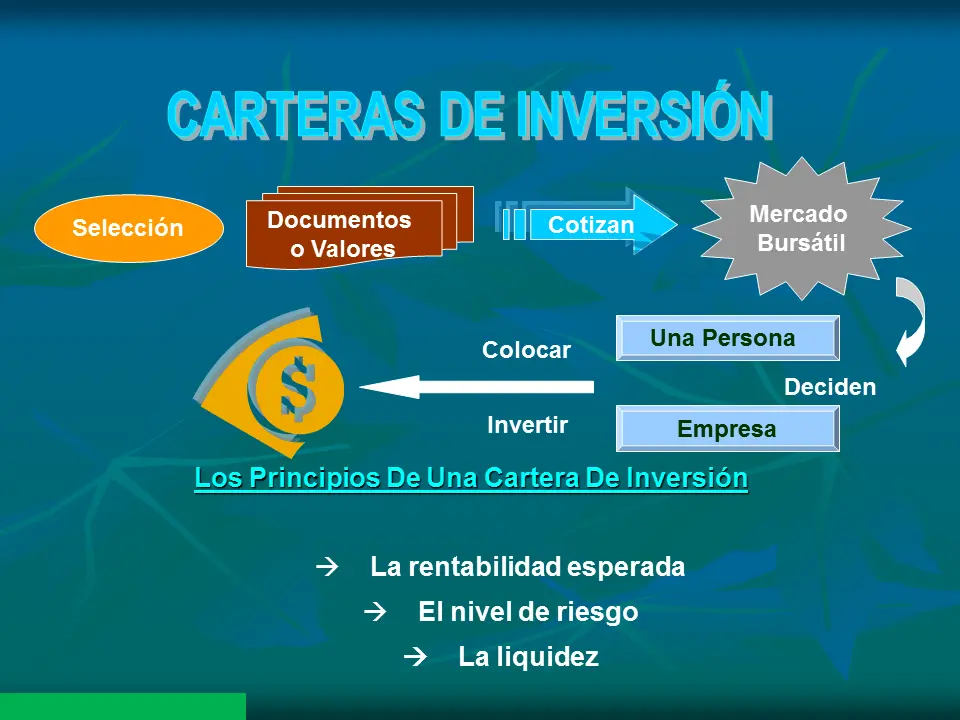 cartera de inversion riesgo y rentabilidad - Qué es la cartera en riesgo
