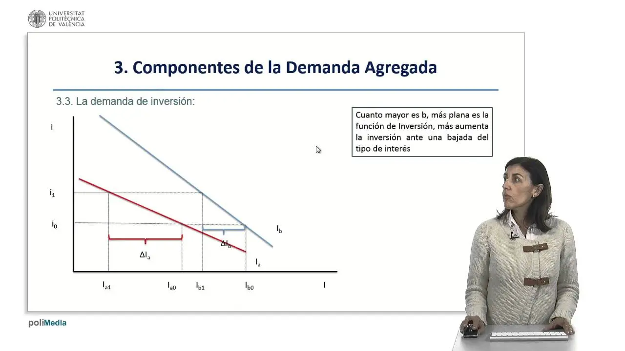 que es la demanda de inversion - Qué es la curva de demanda de inversión
