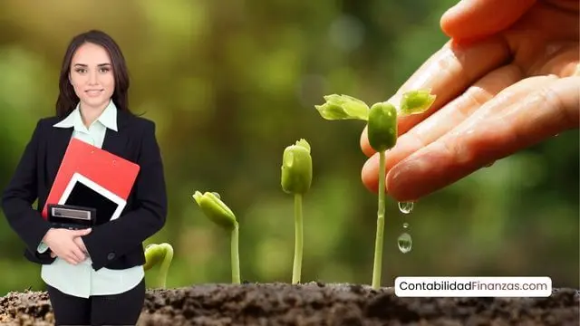 Evaluación Financiera y Económica de Proyectos Agropecuarios: Guía Completa - Qué es la evaluación económica de proyectos finanzas agropecuarios y evaluacion de proyectos - Qué es la evaluación económica de proyectos
