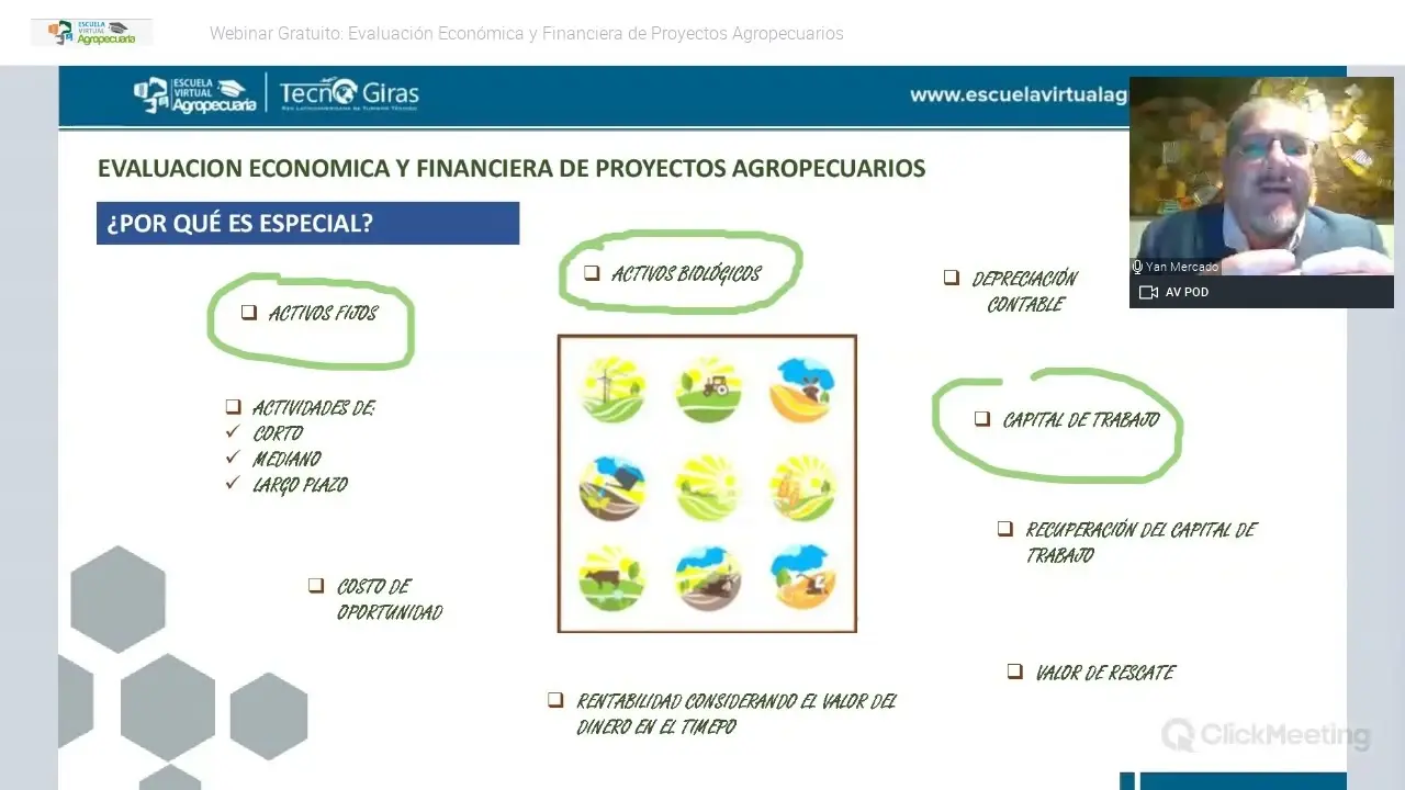Evaluación Financiera y Económica de Proyectos Agropecuarios: Guía Completa - Qué es la evaluación financiera de los proyectos finanzas agropecuarios y evaluacion de proyectos - Qué es la evaluación financiera de los proyectos