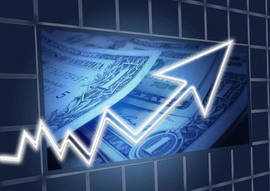 concepto de inversion bruta en macroeconomia - Qué es la inversión fija bruta