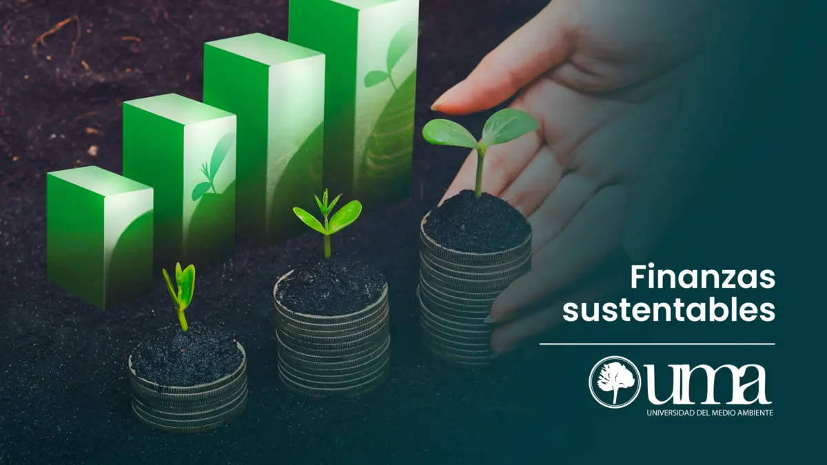 Sustentabilidad Financiera en Salud: El Camino hacia la Excelencia en la Atención - Qué es la sustentabilidad financiera finanzas sustentables - Qué es la sustentabilidad financiera