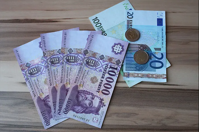 1 euro to huf - Qué es más caro, el euro o el florín
