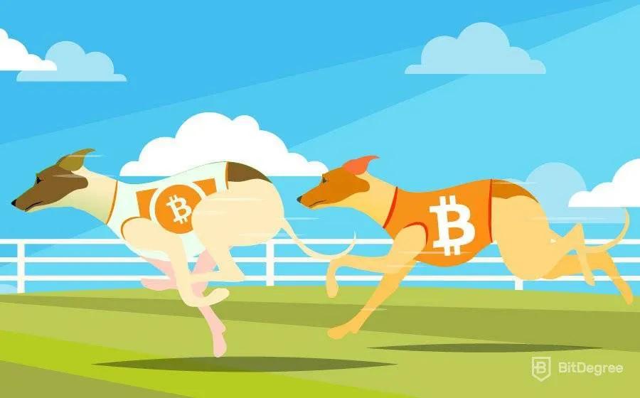 diferencia entre bitcoin y bitcoin cash - Qué es mejor, minar BTC o BCH