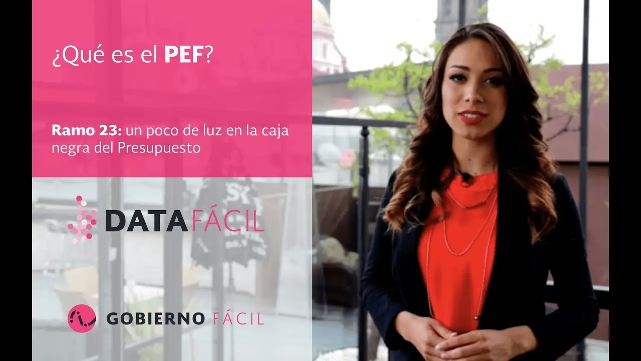 que es pef en finanzas - Qué es PEF