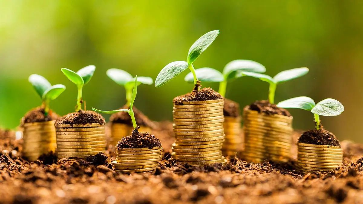Bonos Sostenibles: Una Guía Completa para Entender este Instrumento Financiero - Qué es un bono de financiación sostenible bonos sostenibles - Qué es un bono de financiación sostenible
