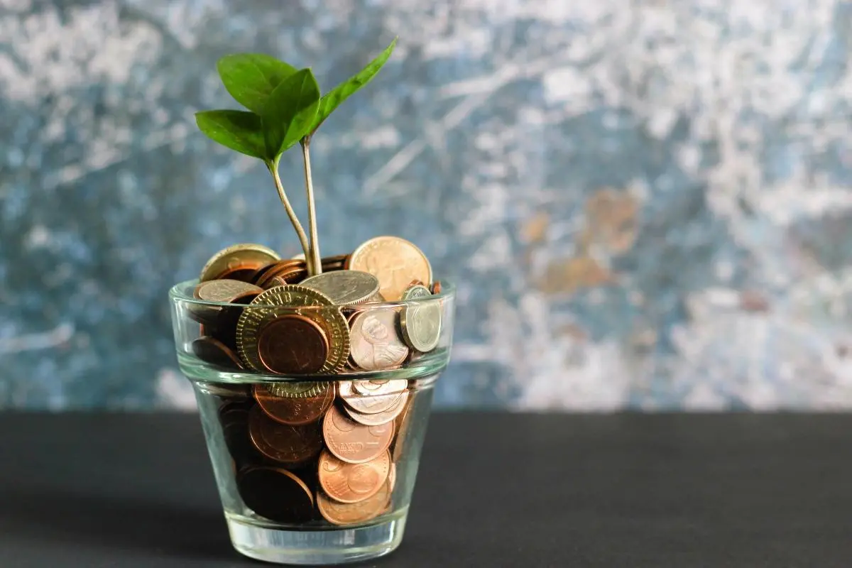 proyecto de finanzas personales - Qué es un proyecto de finanzas