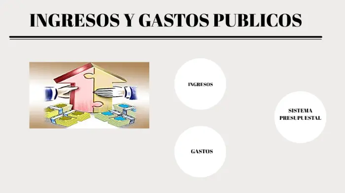 cual es la diferencia entre recurso y gasto finanzas publicas - Qué es un recurso presupuestario