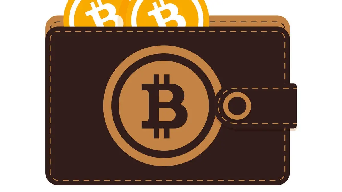 Billeteras electrónicas en Argentina: una guía completa - Qué es wallet en Argentina walet bitcoin - Qué es wallet en Argentina