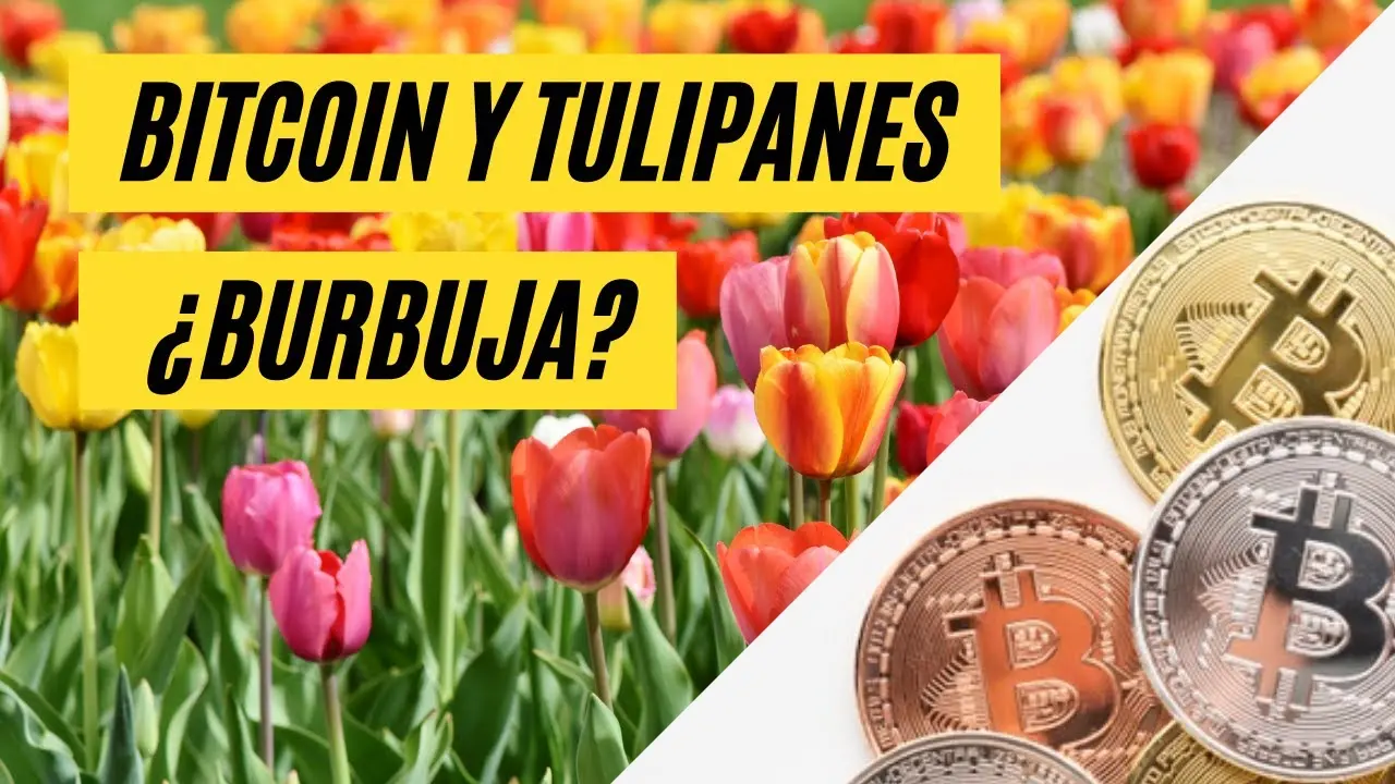 La Tulipomanía: Una Lección del Siglo XVII sobre Burbujas Especulativas - Qué fue la tulipomanía crisis de los tulipanes y bitcoin - Qué fue la tulipomanía
