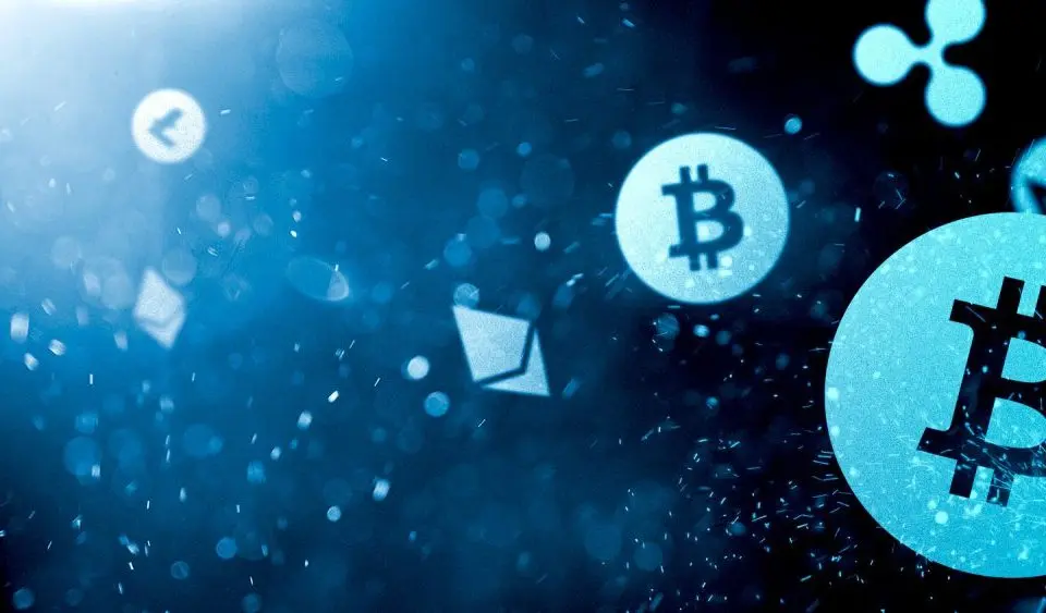 criptomoneda vex - Qué hace un vex