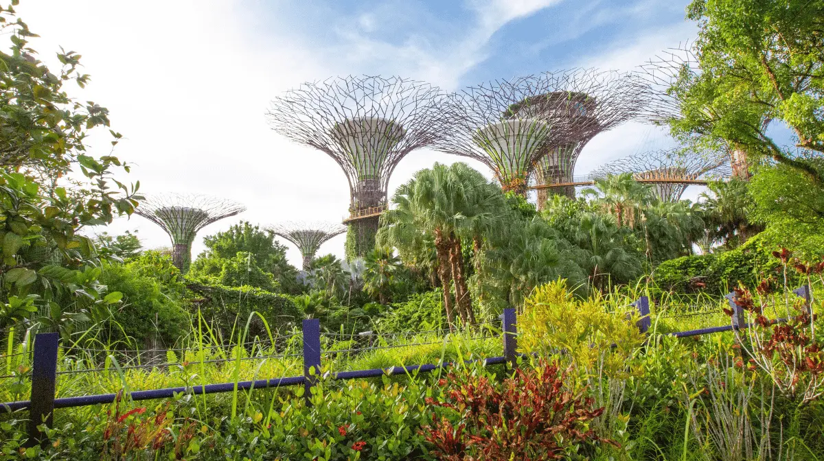 Invertir en Asia: Descubre las Economías Más Poderosas del Continente - Qué país es más rico en Asia invertir en asia - Qué país es más rico en Asia