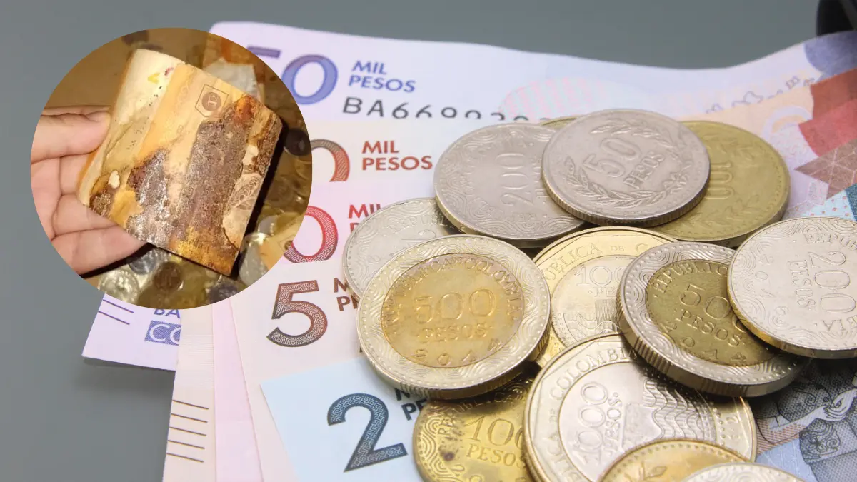 alcancia de dolar - Qué pasa si pongo billetes en una alcancía