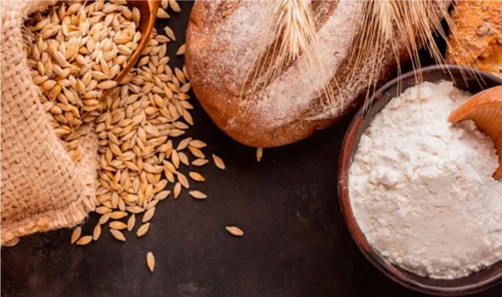 El Complejo Cerealero Argentino: Un Motor Económico en Crecimiento - Qué provincia produce más trigo en Argentina ministerio de ecomia y finanzas complejo trigo farinaceos - Qué provincia produce más trigo en Argentina