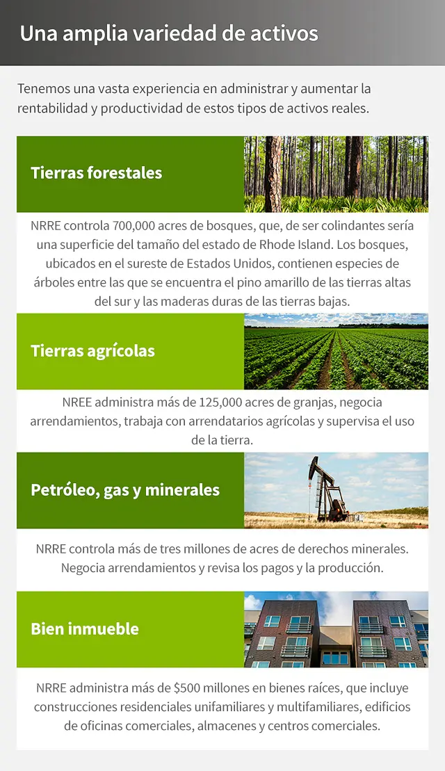 Análisis de Inversión en Fideicomisos Forestales: Una Guía Completa - Qué riesgos tiene un fideicomiso analisis de inversion fideicomiso forestal - Qué riesgos tiene un fideicomiso