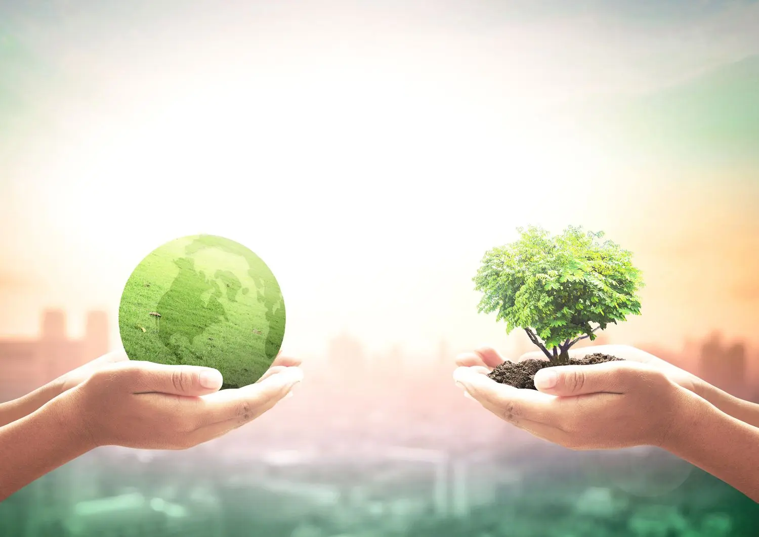 Análisis de Inversión Verde: Guía Completa para Inversores Conscientes - Qué se entiende por inversión verde analisis de inversion green - Qué se entiende por inversión verde