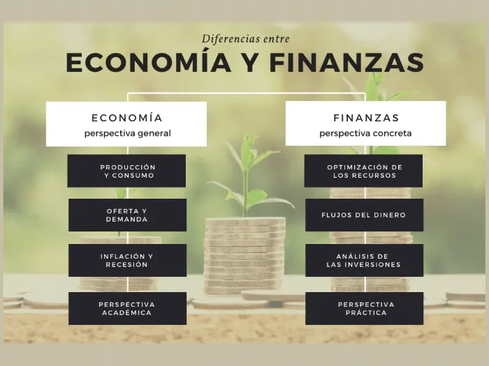 cual es la diferencia entre recurso y gasto finanzas publicas - Qué se entiende por recursos públicos