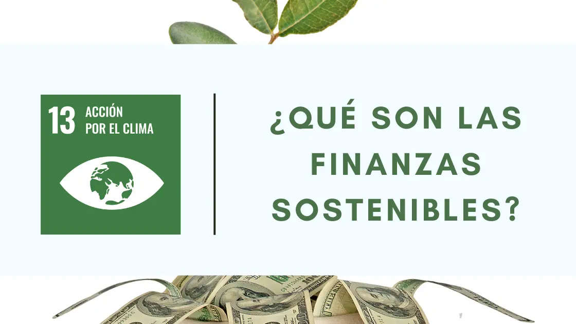finanzas sostenibles definicion - Qué se entiende por sostenibilidad financiera