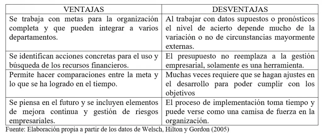diferencia del presupuesto economico y presupuesto financiero finanzas - Qué significa presupuesto financiero