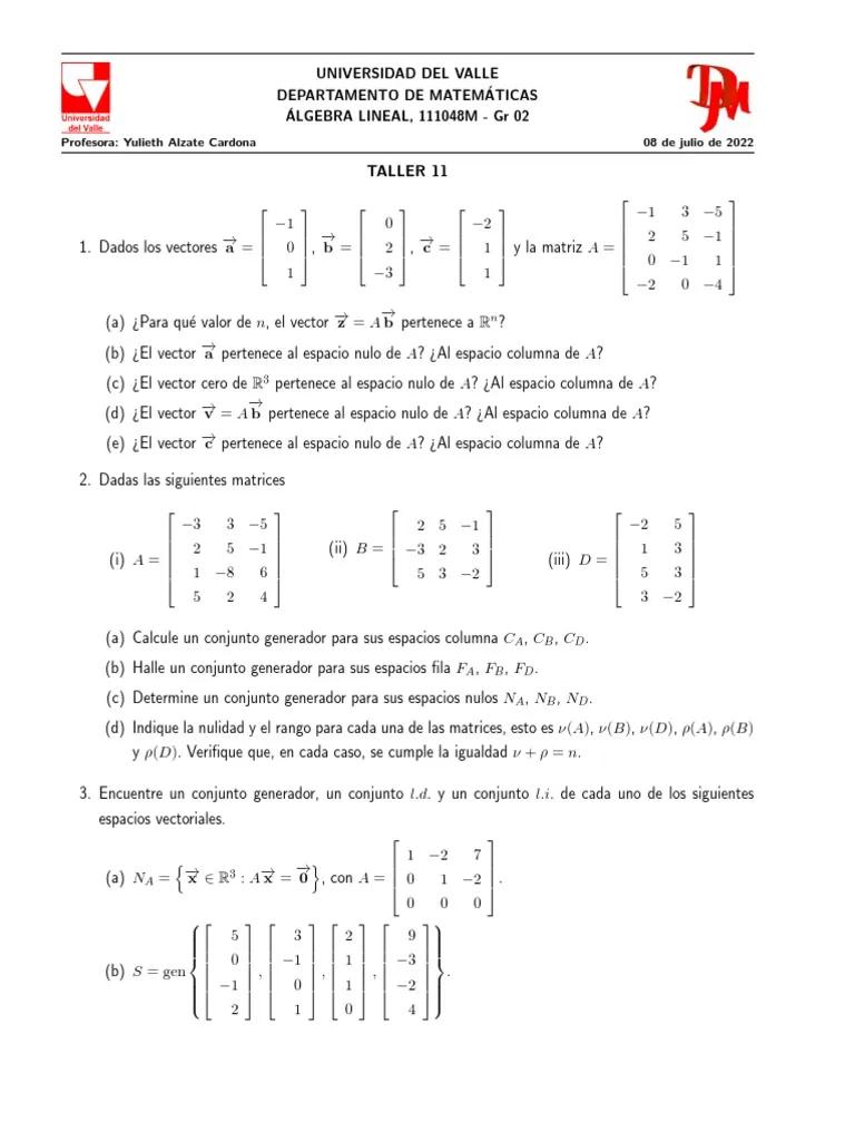 a es invertible si la nulidad es igual a cero - Qué significa si la nulidad es 0