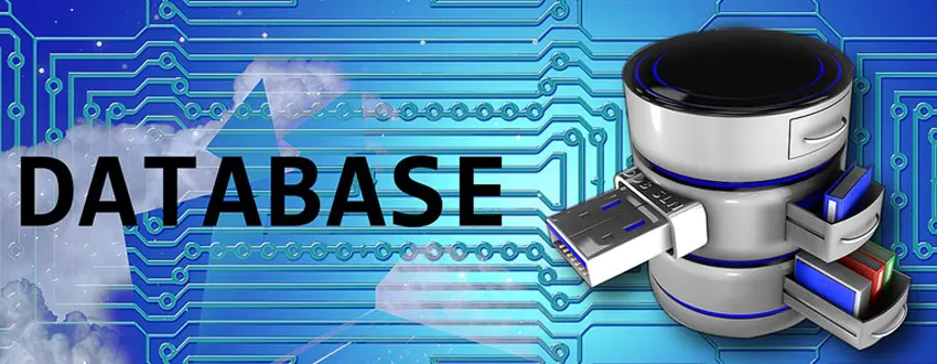 Datos Secundarios: Una Guía Completa para la Investigación de Inversión - Qué son las bases de datos secundarias datos secundarios de un proyecto de inversion - Qué son las bases de datos secundarias