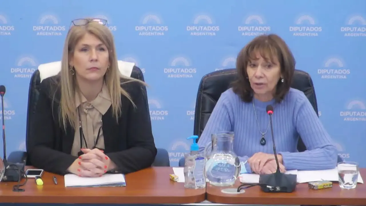 Comisiones Parlamentarias en Argentina: Función y Estructura - Qué son las comisiones especiales en Argentina comision de finanzas y diputados argentina - Qué son las comisiones especiales en Argentina