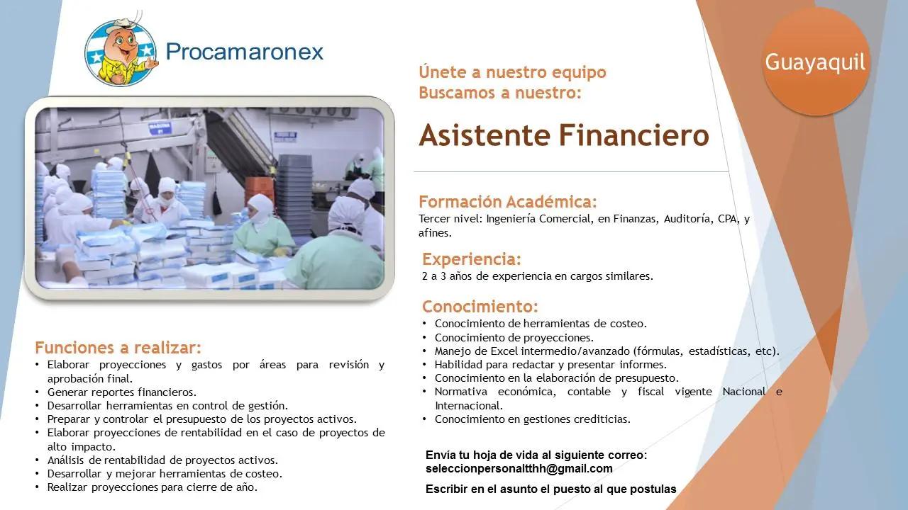 Competencias de un Asistente de Finanzas: Guía para el Éxito - Qué son las competencias financieras competencias de un asistente de finanzas - Qué son las competencias financieras