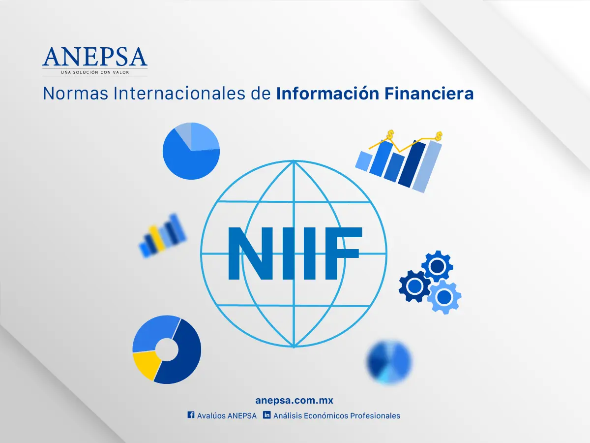 Las NIIF en Argentina: Una Guía Completa para la Contabilidad Internacional - Qué son las NIIF en Argentina finanzas niif - Qué son las NIIF en Argentina