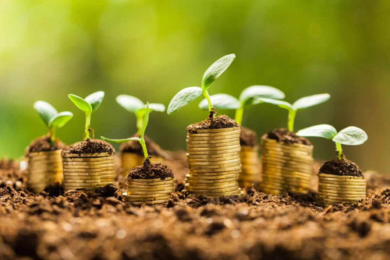 Bonos Etiquetados: Una Inversión con Impacto Social y Ambiental - Qué son los bonos etiquetados bonos etiquetados - Qué son los bonos etiquetados