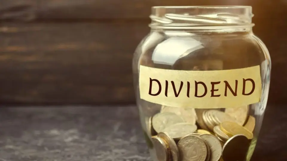cuando fondo comun de inversion con distribucion de dividendos - Qué son los fondos de reparto de dividendos