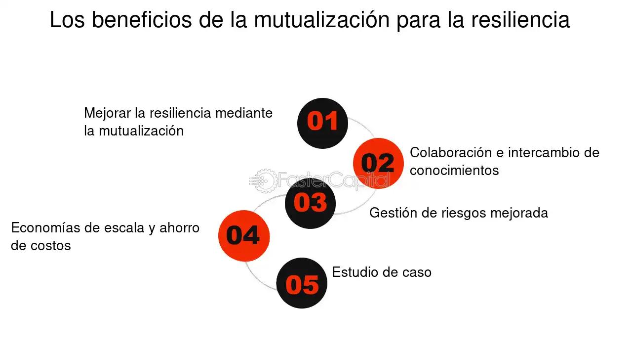 Economía y Finanzas de una Mutual: Una Mirada a la Solidaridad - Qué son los mutuales en economía economia y finanzas de una mutual formulacion - Qué son los mutuales en economía