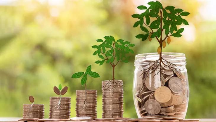 como invertir en cacao - Qué tan rentable es el cacao